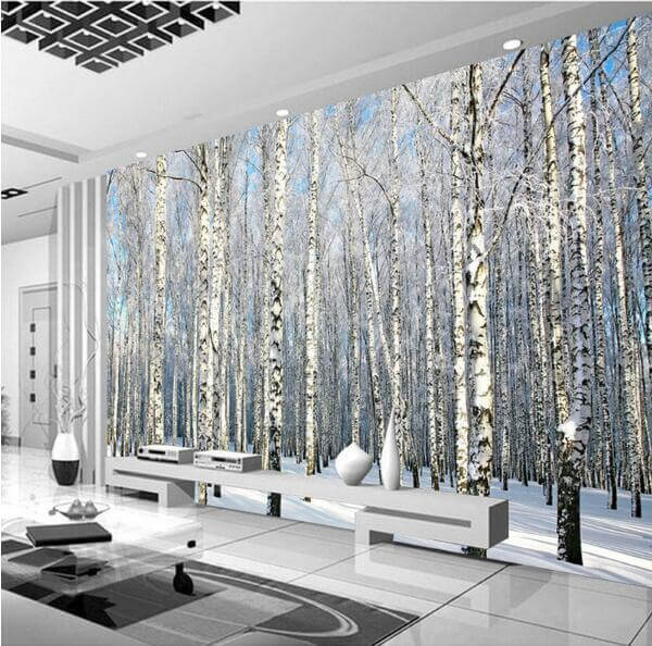 birch tree forest wallpaper